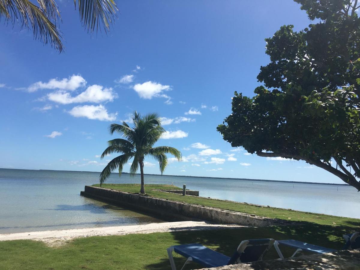 Almond Tree Hotel Resort Corozal Exterior photo