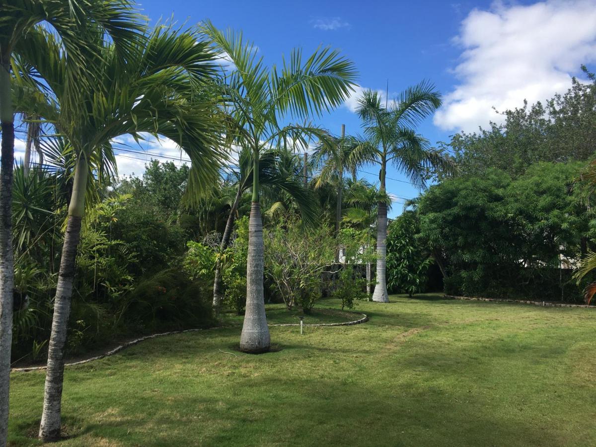 Almond Tree Hotel Resort Corozal Exterior photo