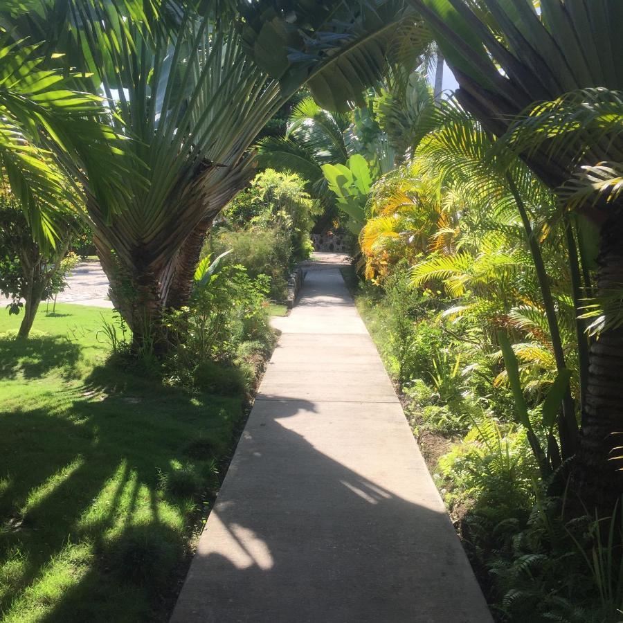 Almond Tree Hotel Resort Corozal Exterior photo