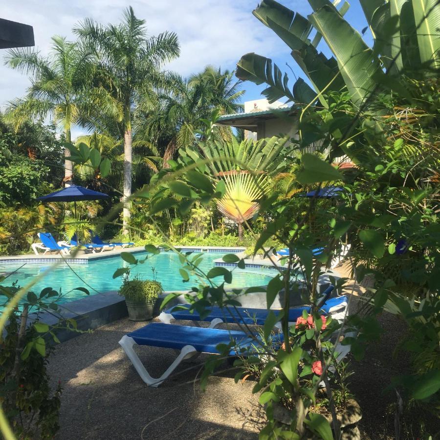 Almond Tree Hotel Resort Corozal Exterior photo